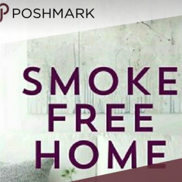 Hand Crafted Four Wheeler Shell Trinket Dish - Picture 7 of 7